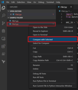 Compare Files In Visual Studio Code - Radish Logic