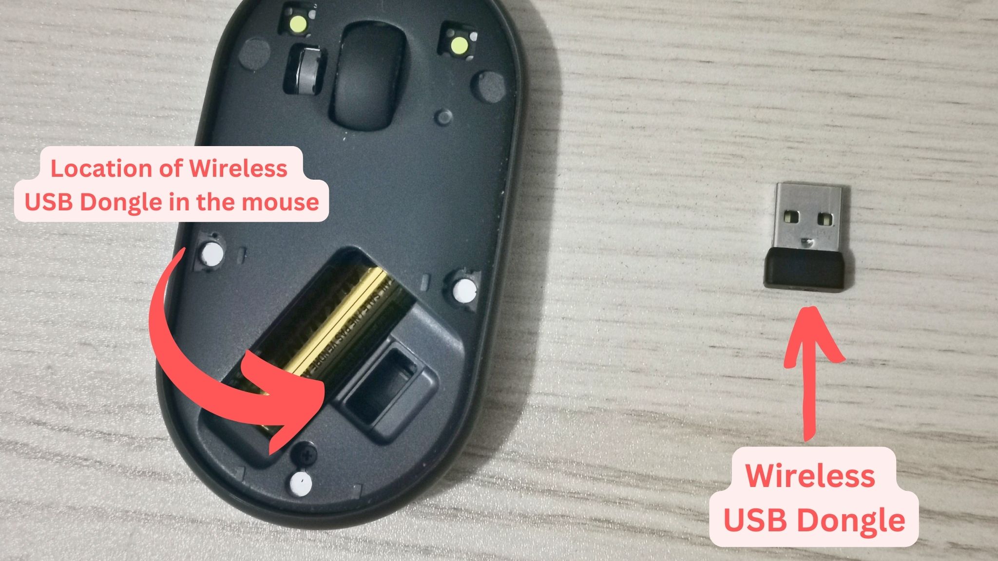 How to connect Logitech M350 Pebble mouse to Windows 11 Radish Logic